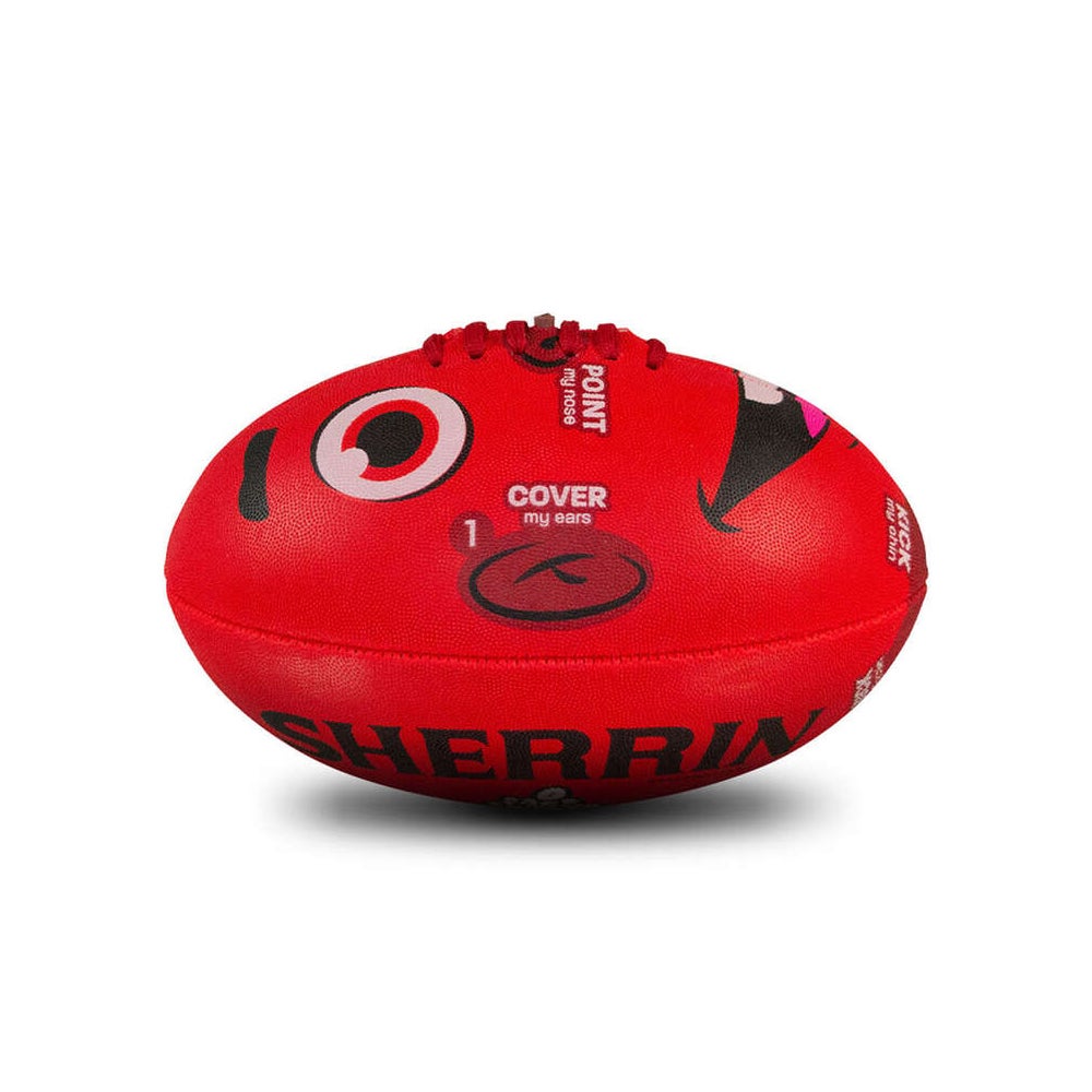 Sherrin Face Footys - Image 4