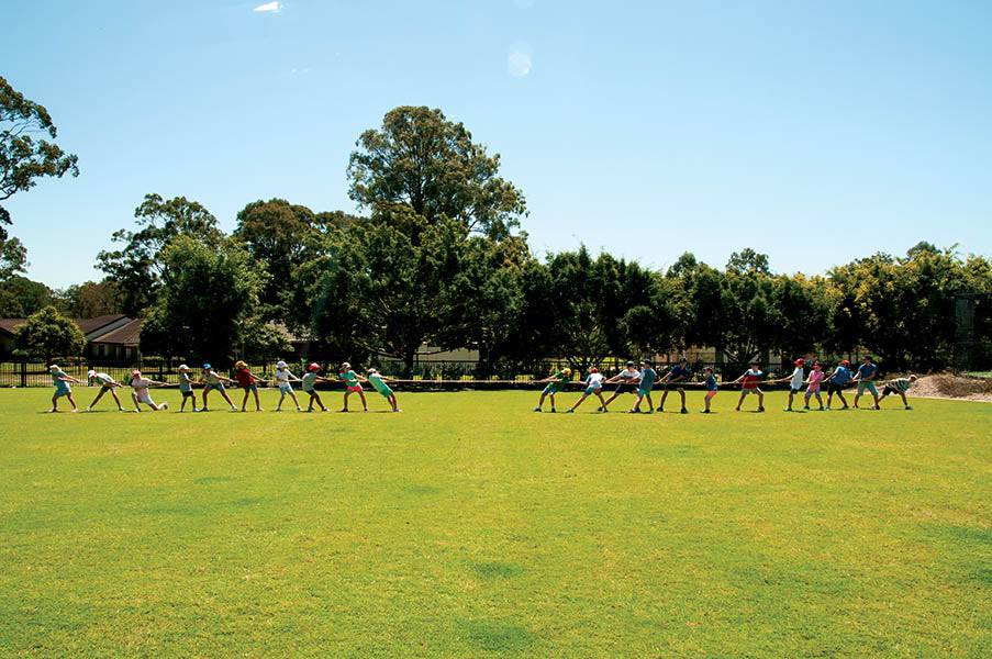 HART Tug-o-War Ropes - Image 4