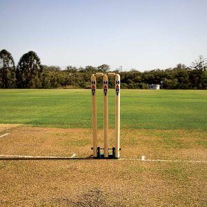 HART Spring Back Stumps Wooden