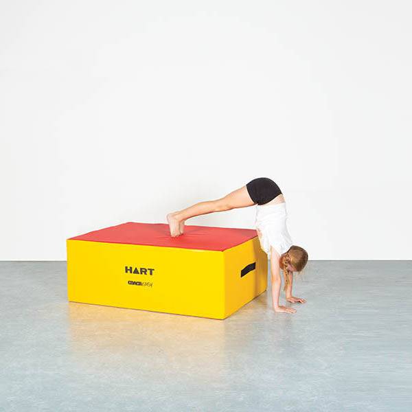 HART Versa Box - Image 2